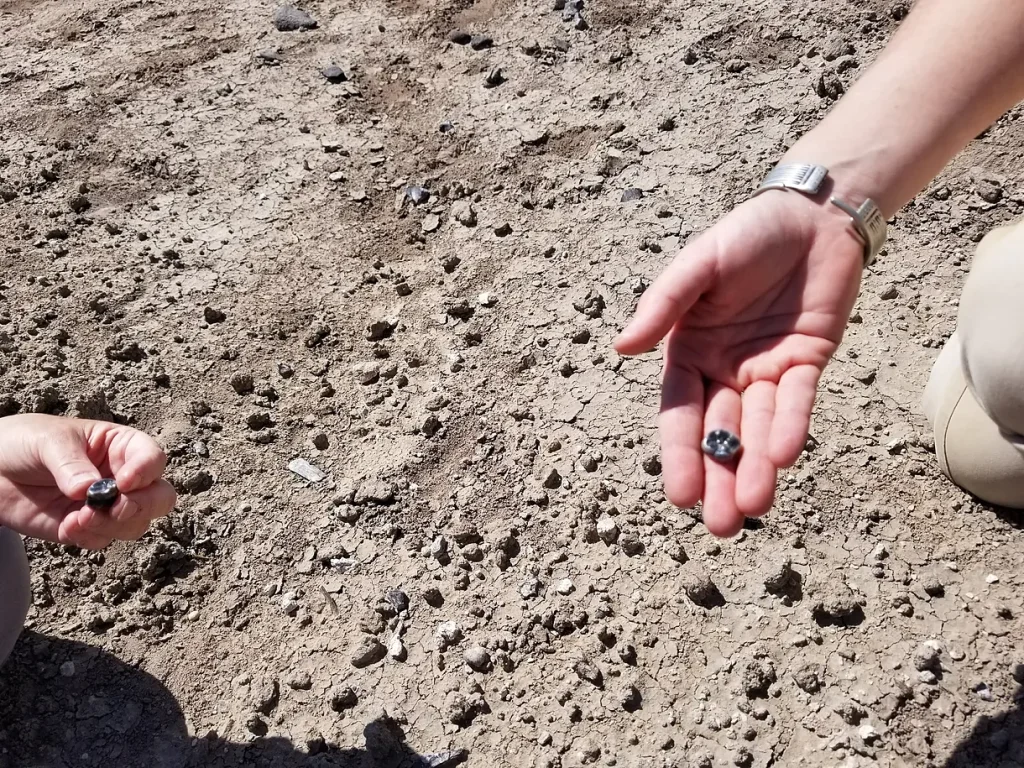 Rewolucja w Afryce: Nowy gatunek Australopiteka żył ramię w ramię z naszymi przodkami