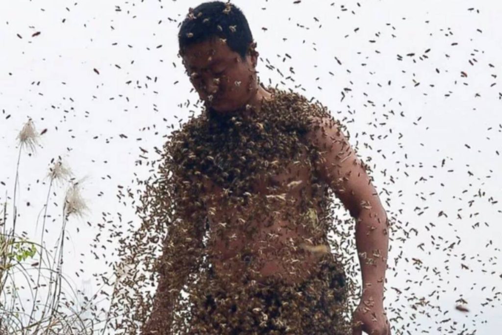 Jakie szkodniki atakują w upały i jak skutecznie im zapobiegać?