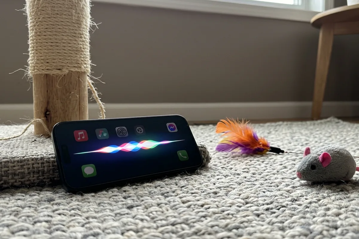 Co oznacza, gdy Twój kot dużo miauczy? Naucz się rozumieć jego ukryty język