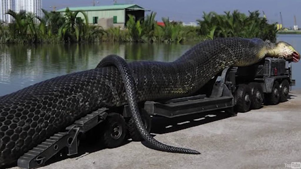 Myśleli, że to pień drzewa, a on nagle zaczął pełznąć: Gigant z Amazonii, który przeraził ekipę Willa Smitha