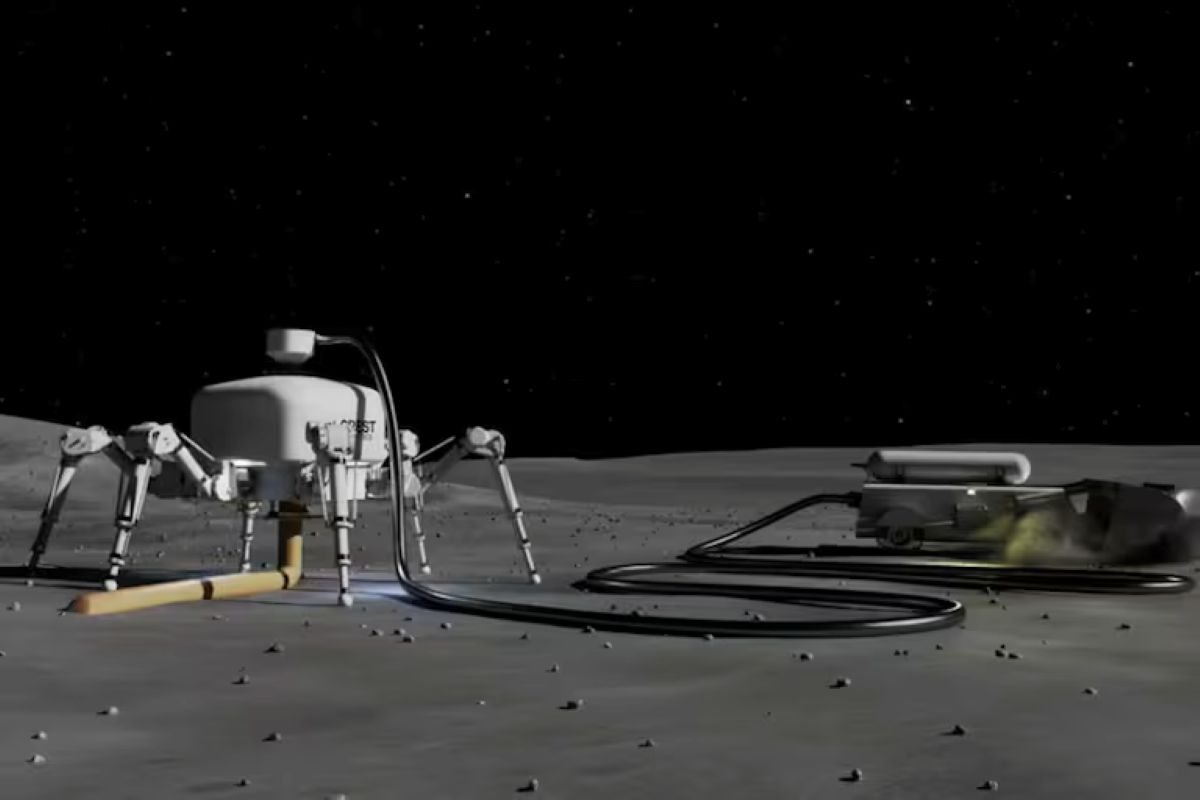 Stworzyli robota-pająka, który potrafi zbudować cały dom w ciągu jednej doby.